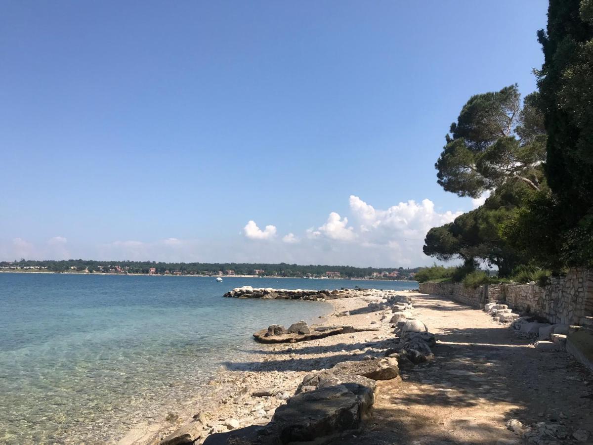 Villa Eva Karigador Novigrad  Exterior photo